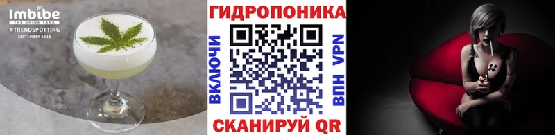 Canna-Cookies марихуана  ссылка на мегу зеркало  Курганинск 