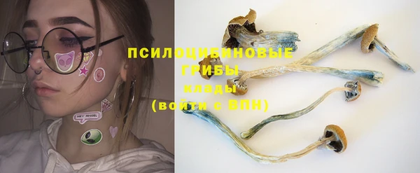apvp Осинники