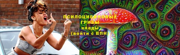 прущие крисы Няндома