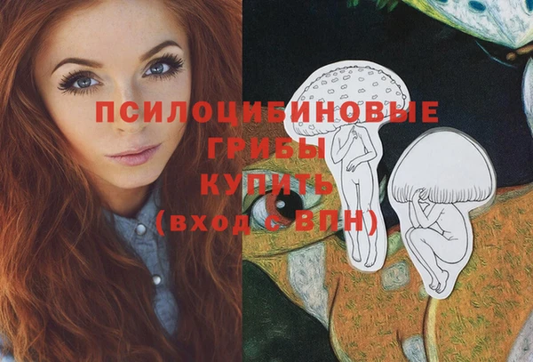 марихуана Новодвинск