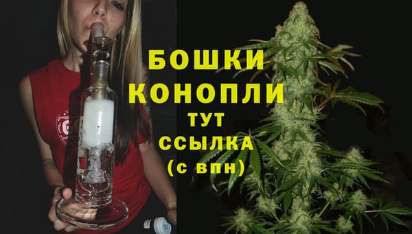 прущие крисы Няндома