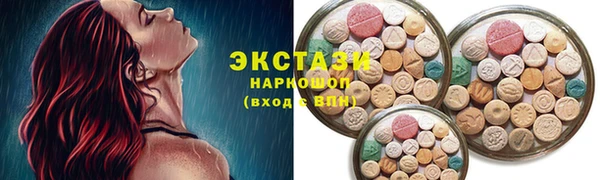 сатива Новокубанск
